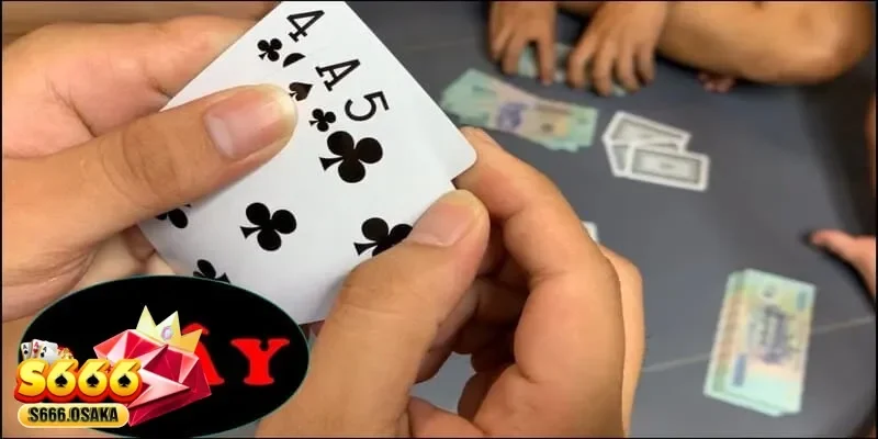3 cây
